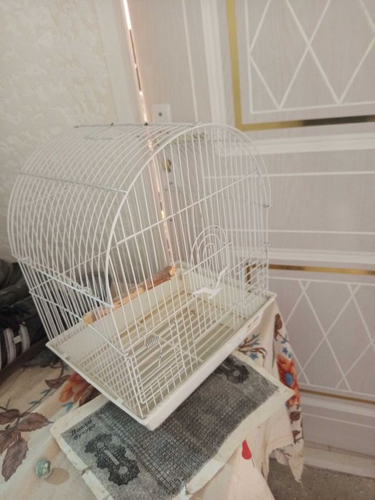 Продаю клетка для птиц