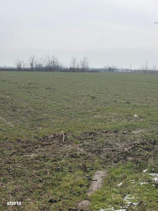 Teren de 9000mp, la intrarea in Filiasi ,la 300m de str. Racoteanu