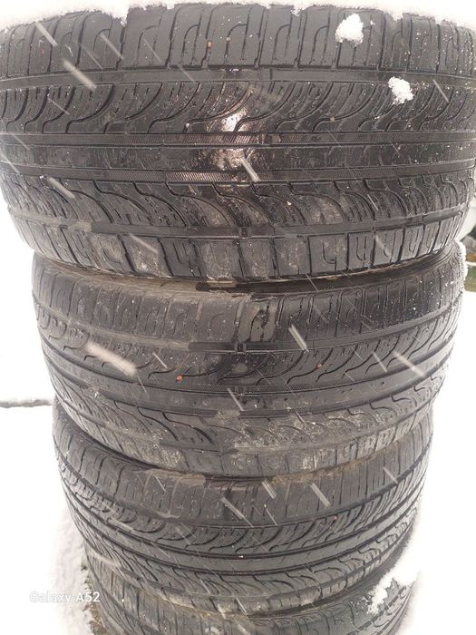 Резина nexen r18 245/45