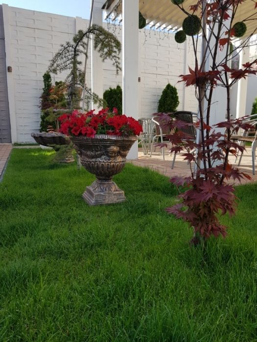 Ghiveci beton/versace/ghivece din beton,jardiniere din beton