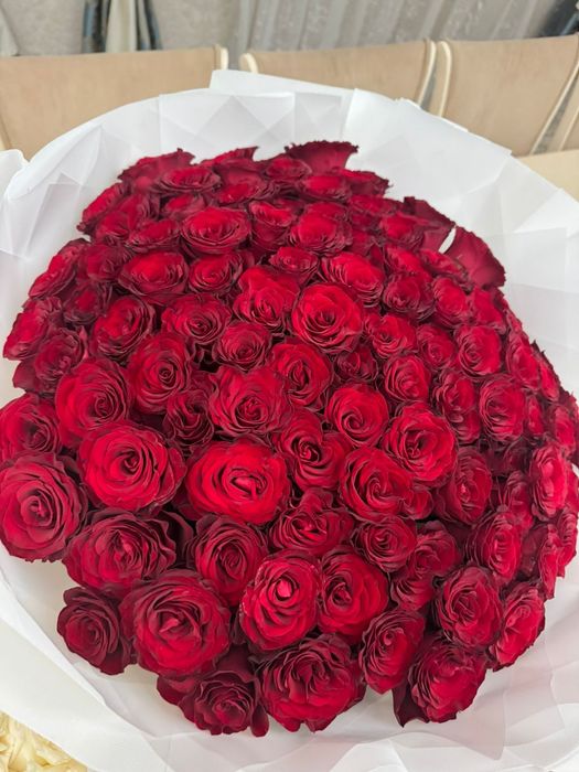 Красные розы 101+ штук
