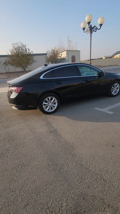 Malibu2 trend bukhara