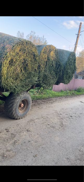 Vand baloti de lucerna INFOLIATI