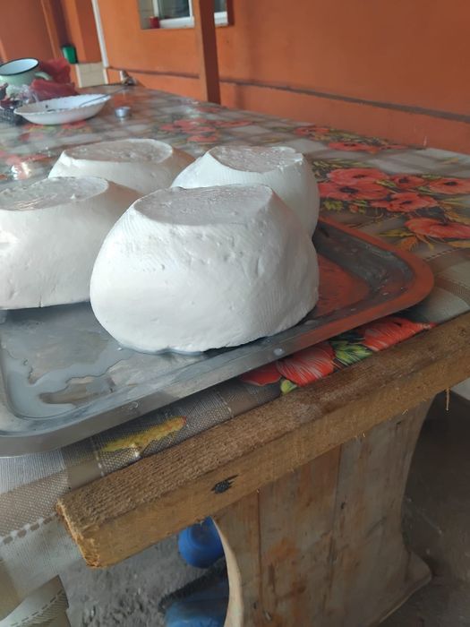 Vand branza capra si oaie 22 de lei pe kg pret de angro