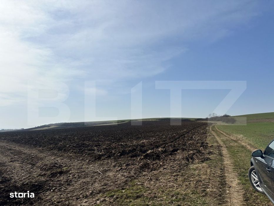 Teren Arabil Extravilan 15.000 Mp Santuhalm
