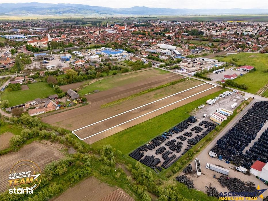 FILM! 5.000 mp teren, la marginea orasului Targu Secuiesc, aria indust
