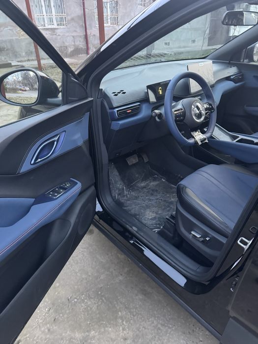 Byd seagull bez prabeg