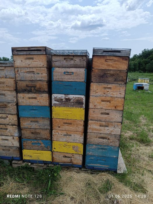 Albine ,cutii stupi ,inventar apicol,caturi,rame