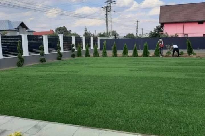 Gazon Rulou și sistem de irigatii