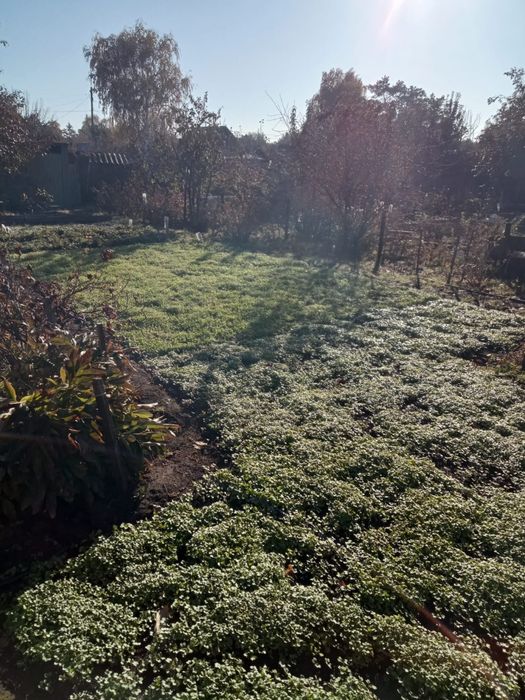 Продам дачный участок