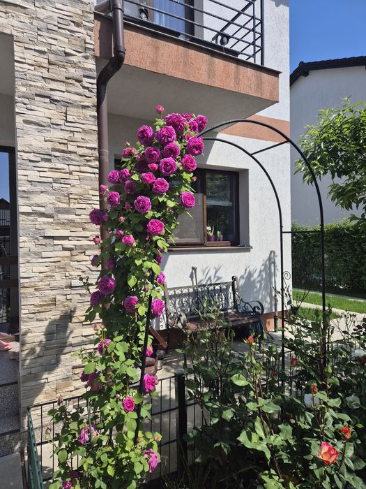 Casă tip duplex Sânpetru