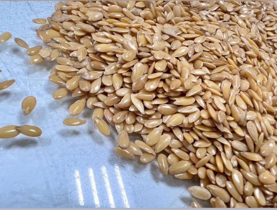 Золотистый лён продам