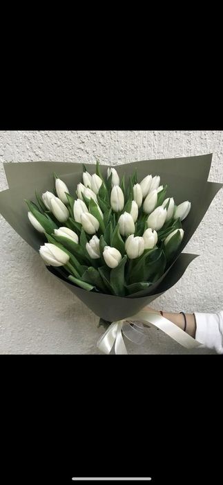 Тюльпаны свежие хороший выбор