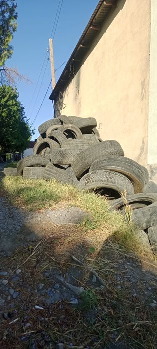 Болоны не нужные