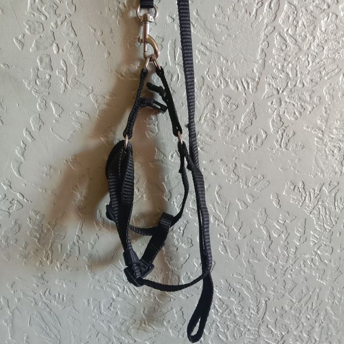 Шлейка для собак и кошек