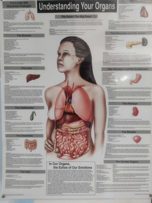 Afis Poster - legatura dintre EMOTII si BOLILE ORGANELOR noastre