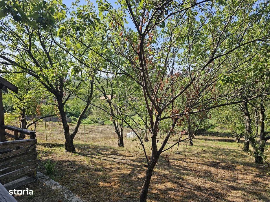 Teren Exceptional 1719 Mp Cu Helesteu De Peste Semi Central Iasi