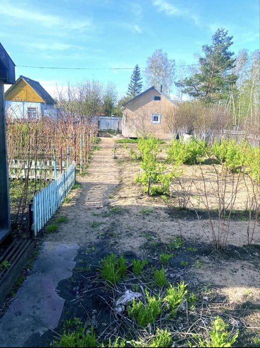 Продам дачу в Новопавловке