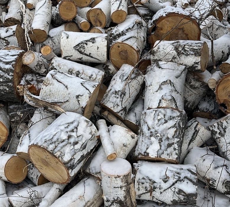 Продам дрова береза