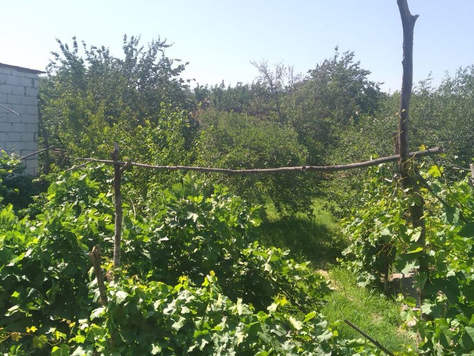 Шавот туман марказида ховли жой сотилади!