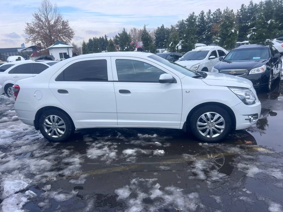 Cobalt 2019 yil SROCHNA