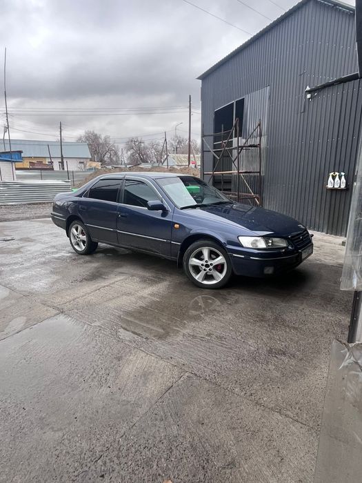 Летние шины. Резинки