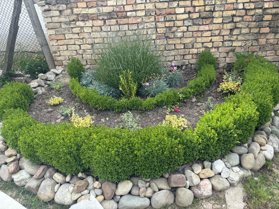 Резитба на овощни градини /озеленяване