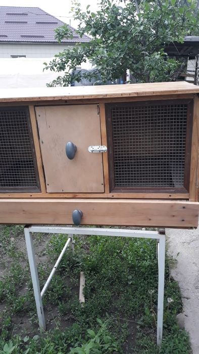 Брудер для цыплят