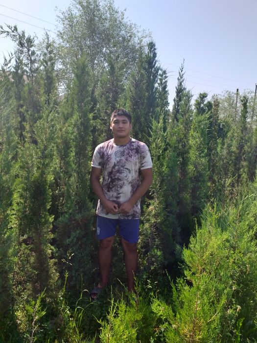 Арча манзарали тури маржевелник