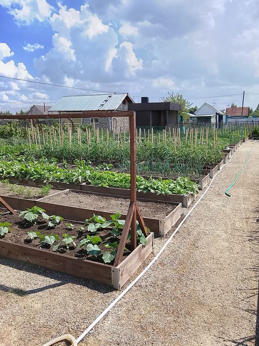 Продам дачу с насаждением