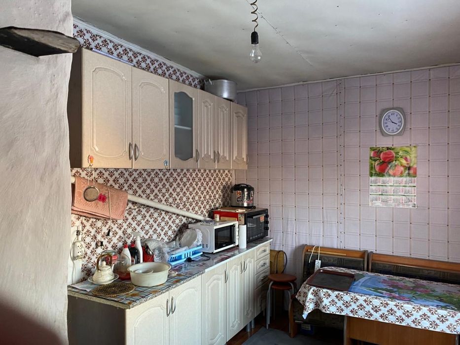 Продам дом в селе Корнекты