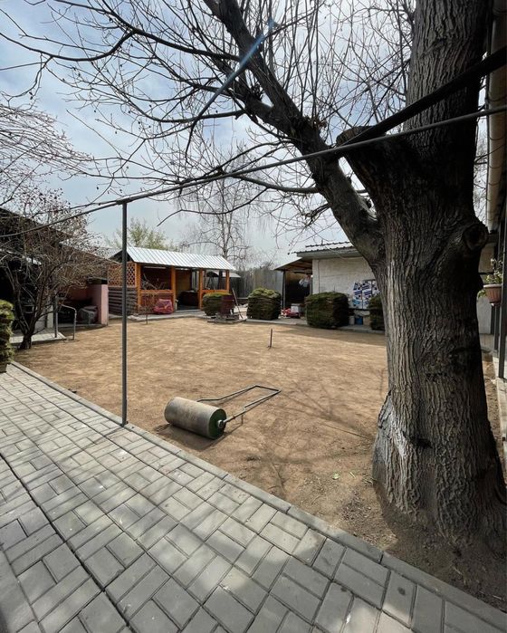 Рулонный газон под ключ