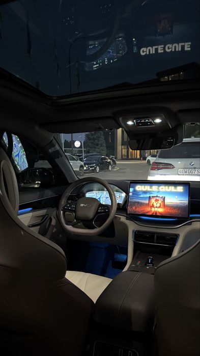byd chempion smart full