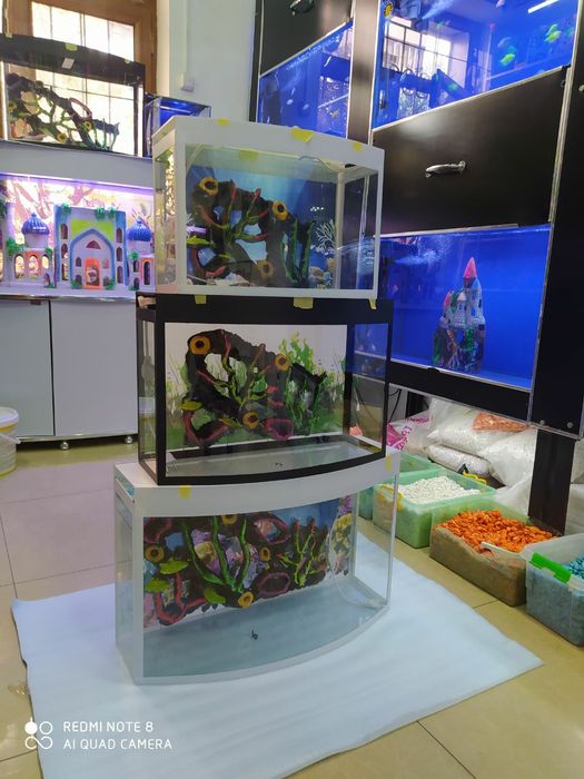 Akvarium 20 litr yengi