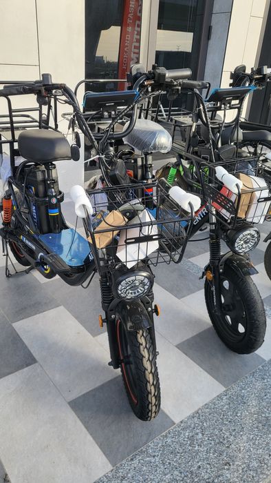 monstr drongo arenda elektr velik