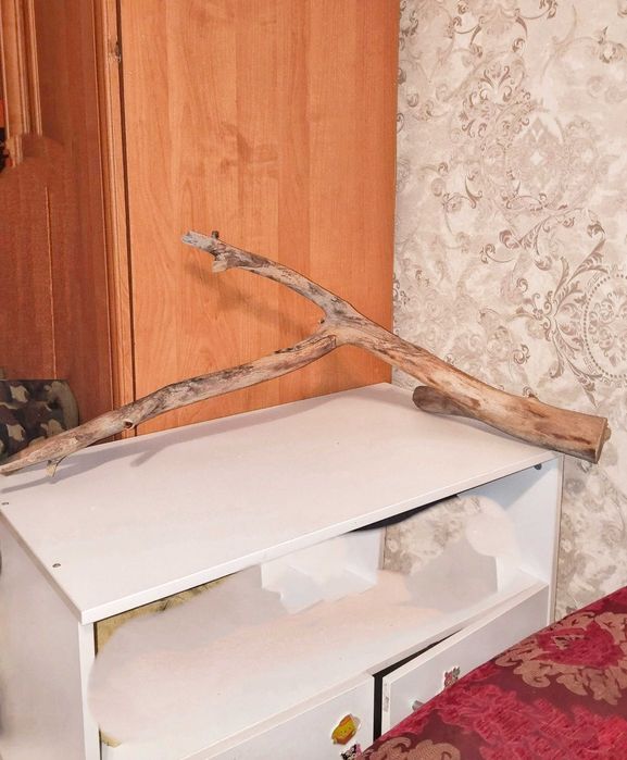 Коряга в аквариум большая