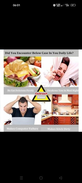 Таракан олтиретин порошок сатылады гарантия бериледи