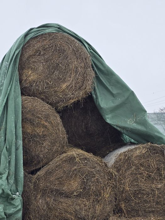 Vand baloti lucerna 120x120