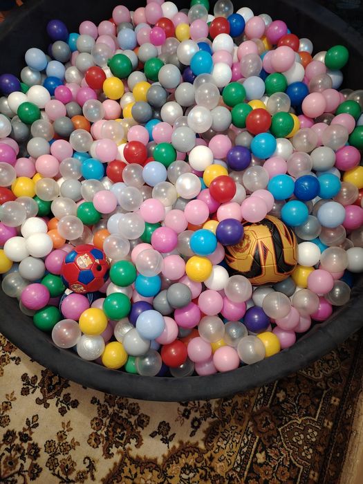 Продам сухой басеин большой