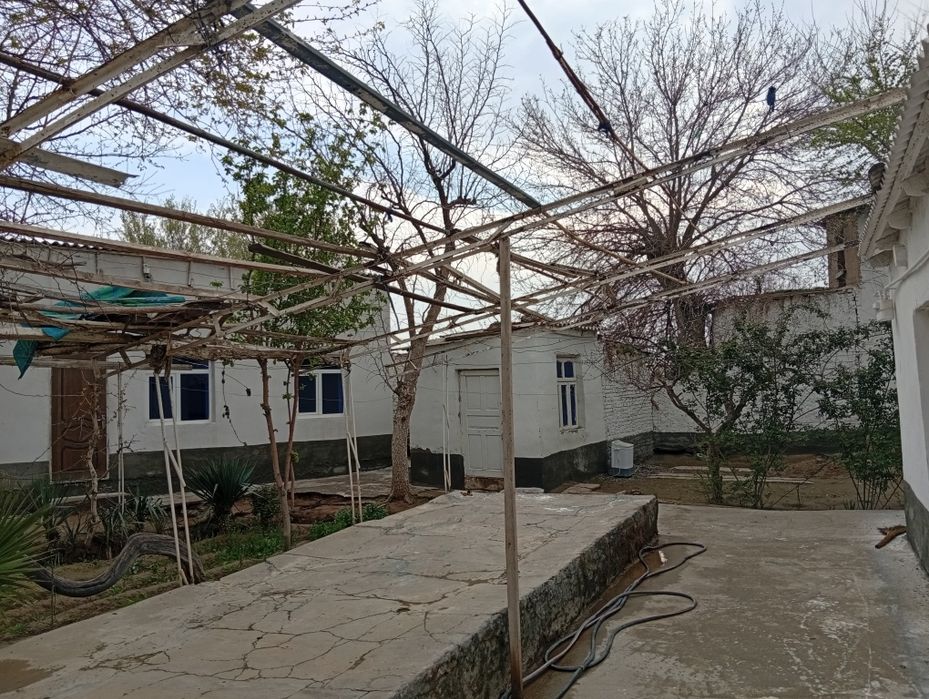 7 hona uy 23 sotix erli hovli sotiladi