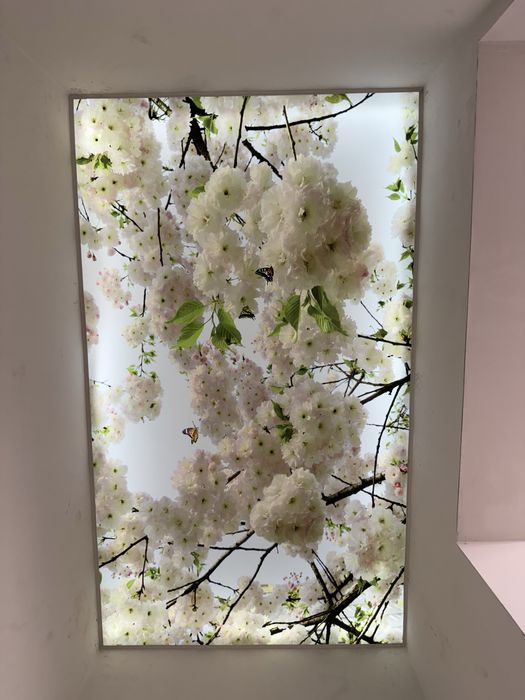 Натяжные потолки | natijnoy potolok