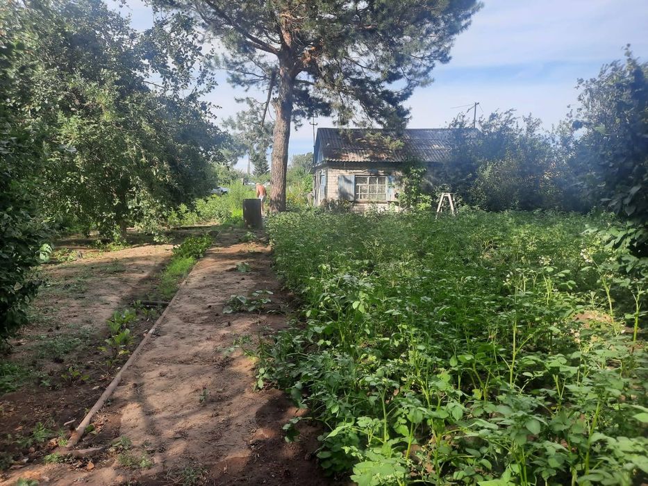 Сдам в аренду дачу