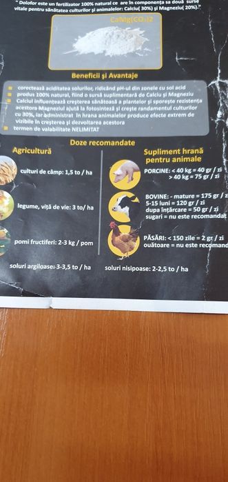 Doloflor, Dolomita, Delcamag