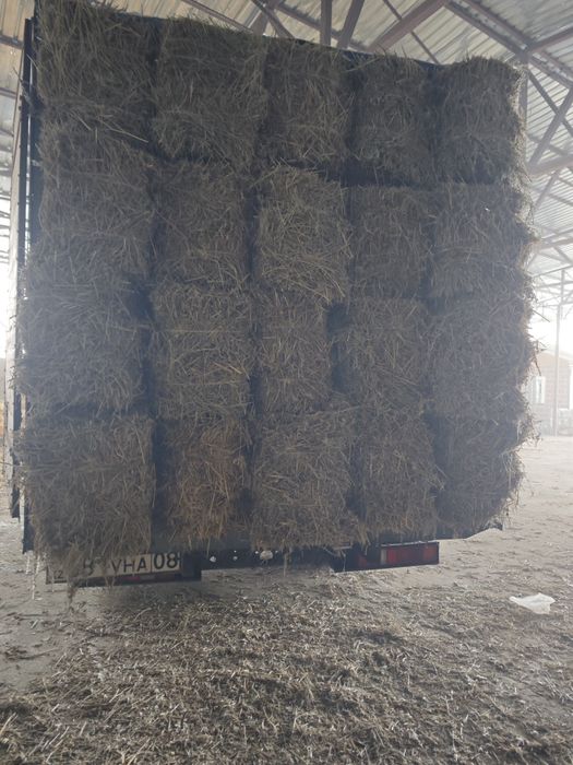 Самовывоз Василек шөп в тюках