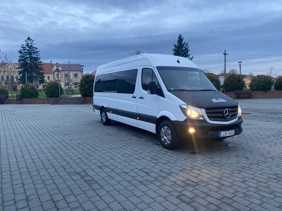 Mercedes sprinter 313 319 316 519 416