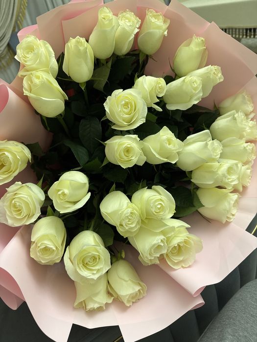 Жана келді метровые