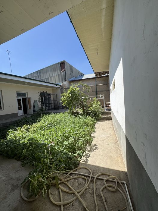 Hovli ijaraga beriladi Samarkandda