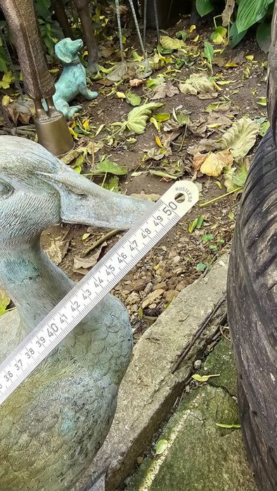 O deosebită Rată din bronz