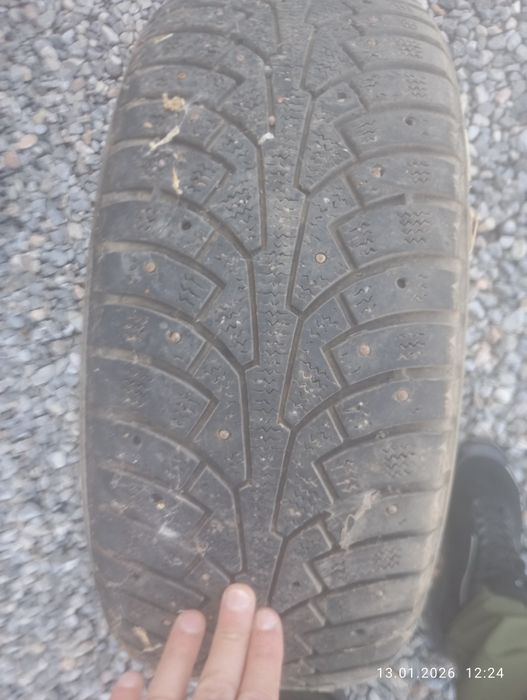 Шины шипованые трианжел