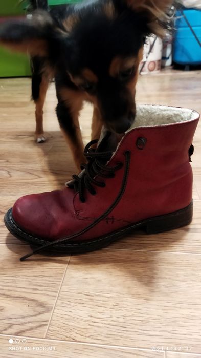 Женские ботинки Rieker